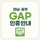농산물품질관리원 앞 | 전남·광주 GAP(농산물우수관리)인증안내