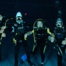 올림픽수영장 이미지