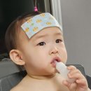 ① 코로나 돌치레와 2박 3일 입원.. ( 의정부 튼튼어린이병원 입원 후기/ 돌아기 고열 / 후두염 )