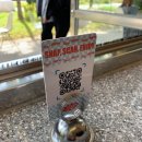 나포리 | 마곡 화곡피자 맛집 비바나폴리 내돈내산 후기