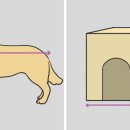 강아지집 이미지