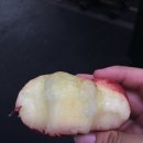 한이농장 이미지