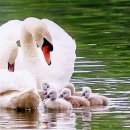 신번한우곰탕 이미지