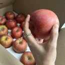 신선청과 이미지