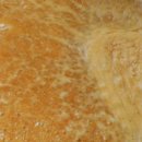 양지말전통조청협동조합 이미지