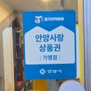일루비전 이미지