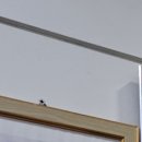 청사이비인후과의원 이미지