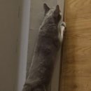 소용농장 이미지