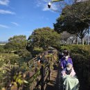 의료법인거명의료재단 영광기독신하병원 | 사회복지법인 난원 거명의료재단 영광기독병원 영광기독신하병원 장성공립노인전문요양병원 가을나들이...