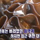 암세포가 자살한다 이미지