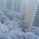 주공아파트 이미지