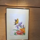 색연필 일러스트 & 보타니컬 아트 이미지