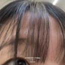 논노브 이미지