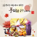 용인대 힘찬 태권도 이미지