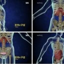 마북로 이미지