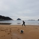 이동 원천항 이미지