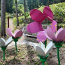 문수산자연휴양림 이미지