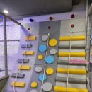 켄싱턴호텔평창 실외수영장 이미지