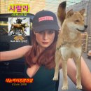 캡틴 켄넬 이미지