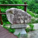 구룡농업협동조합