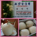 오얏골농원