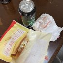 (주)도깨비 스튜디오 | [월간 일기] 3월 일기 | 드디어 봄 🌸