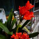 비룡민박 이미지