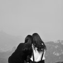 비스듬히 Daum카페