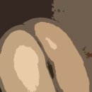 환타지아 이미지