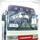 1/20일.. 시내버스 타고 대구가기(부제: 스페셜리무진.. 잡았다..) 이미지