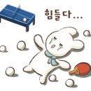 레벨업탁구클럽 이미지