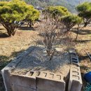 푸른들공인중개사사무소 이미지