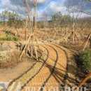 강정동-62 이미지