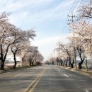 낙동강변로5-5 이미지