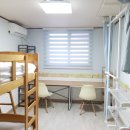 신성대학교 이미지