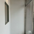 바우애견 이미지