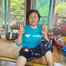 시제이식료품전달 이미지