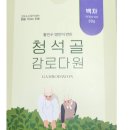 밀양냉면 소문난 맛집 육전냉면 육전 비빔냉면이 맛있는 갈비탕 맛집 대설 면옥