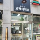 션하냥 이미지