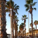 카사블랑카민박 이미지