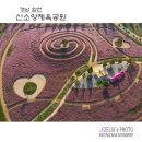 신소양체육공원 이미지