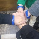 1445 | 평택 실내 놀거리 찾는다면 친구랑, 가족이랑 누구랑 와도 다 좋은 핑크타이거