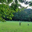 금강자연휴양림 이미지