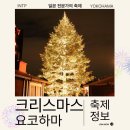 요코하마 크리스마스 축제 마켓 붉은벽돌 명소 추천