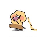 소소한하루 이미지