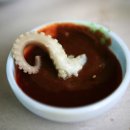 서산낙지 이미지