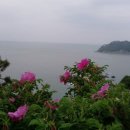 용궁여인숙 이미지