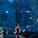 다누리센터 아쿠아리움 이미지