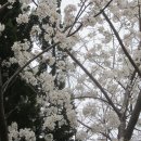 신산공원 이미지