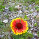 안면펜션 이미지